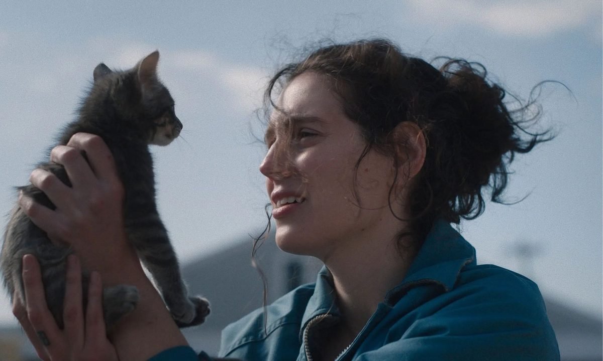 Three underrated HBO Max movies this weekend displayed on TV